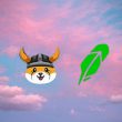 robinhood floki inu