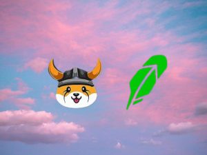 robinhood floki inu