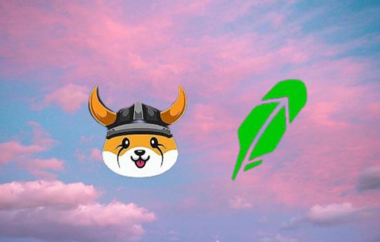 robinhood floki inu