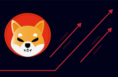 Shiba Inu Gets Listed on Ex-Binance CFO’s Exchange, Flips MATIC by Market Value