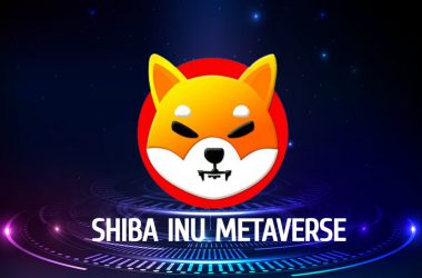 shiba inu metaverse shib