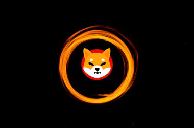 Shiba Inu