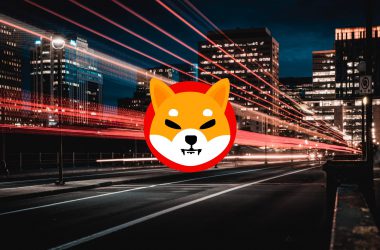 Shiba Inu