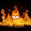 Shytoshi States That ”Massive Shiba Inu Burns Require Community Efforts”