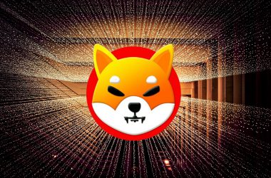 shiba inu lights