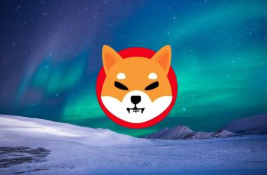 shiba inu