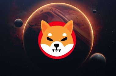 shiba inu