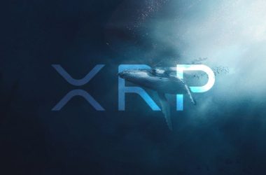 Ripple Wallet Sees 55M XRP Transfer