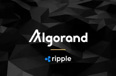Former Ripple Executive Devan Moorthy Joins The Algorand Foundation