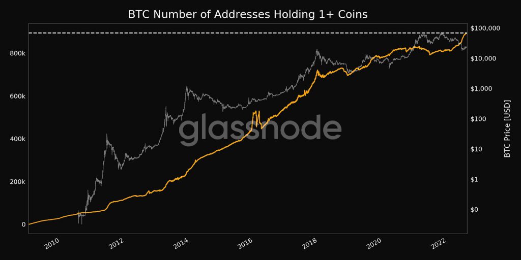 1 BTC 的比特币地址创下历史新高