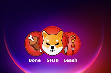 bone shib leash shiba inu