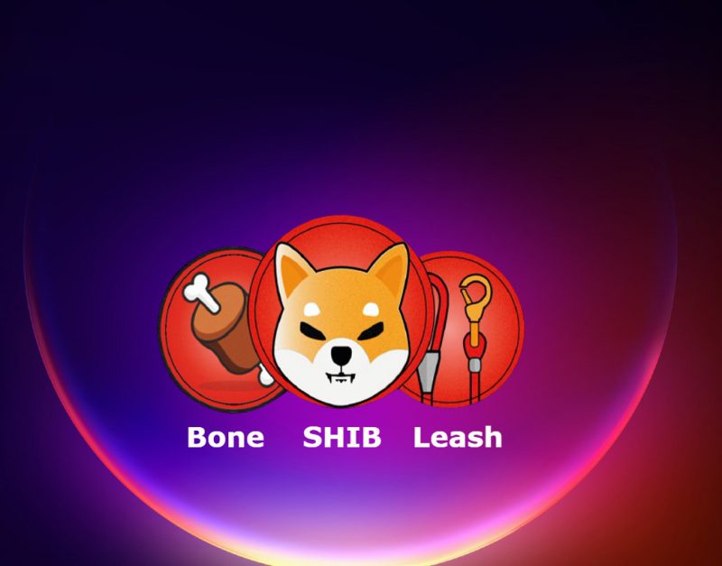 bone shib leash shiba inu