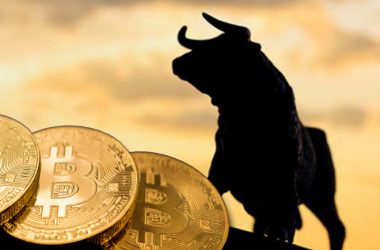 Bull Run BTC Bitcoin Crypto