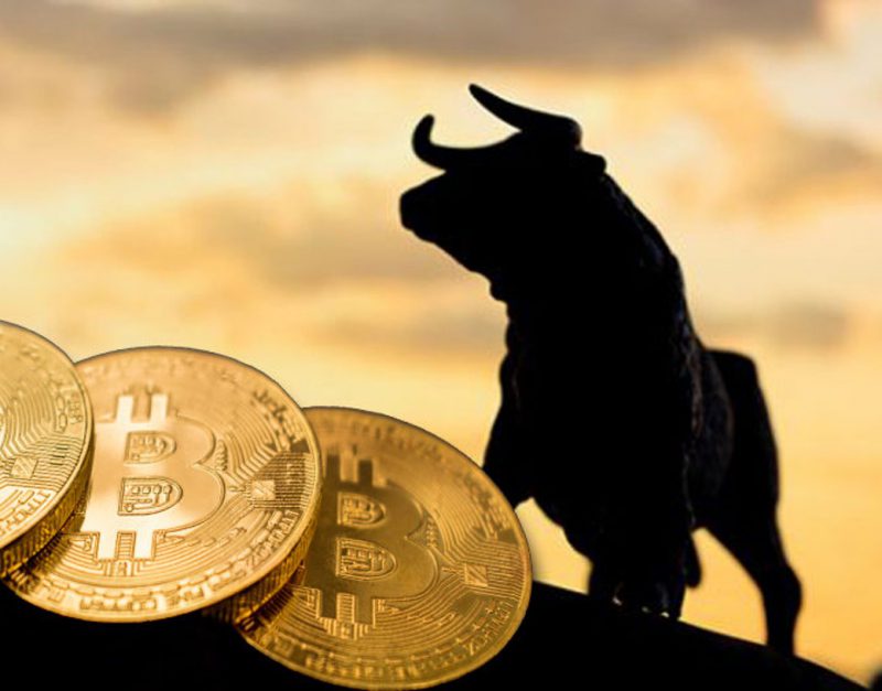 Bull Run BTC Bitcoin Crypto