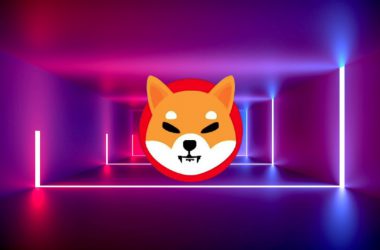 Shiba Inu