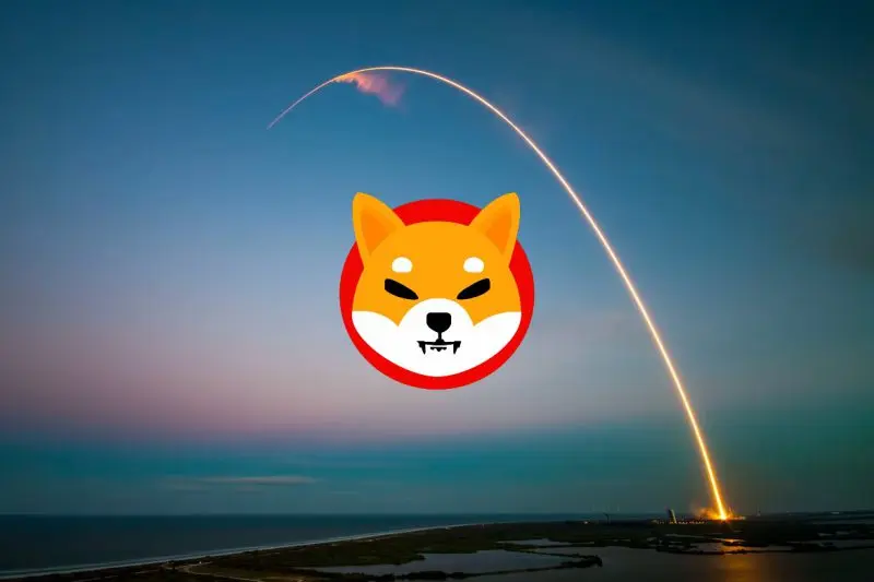 Shiba Inu