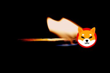 Shiba Inu
