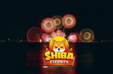 Shiba Inu