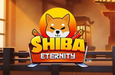 Is Shiba Eternity on Google Play? How to Download