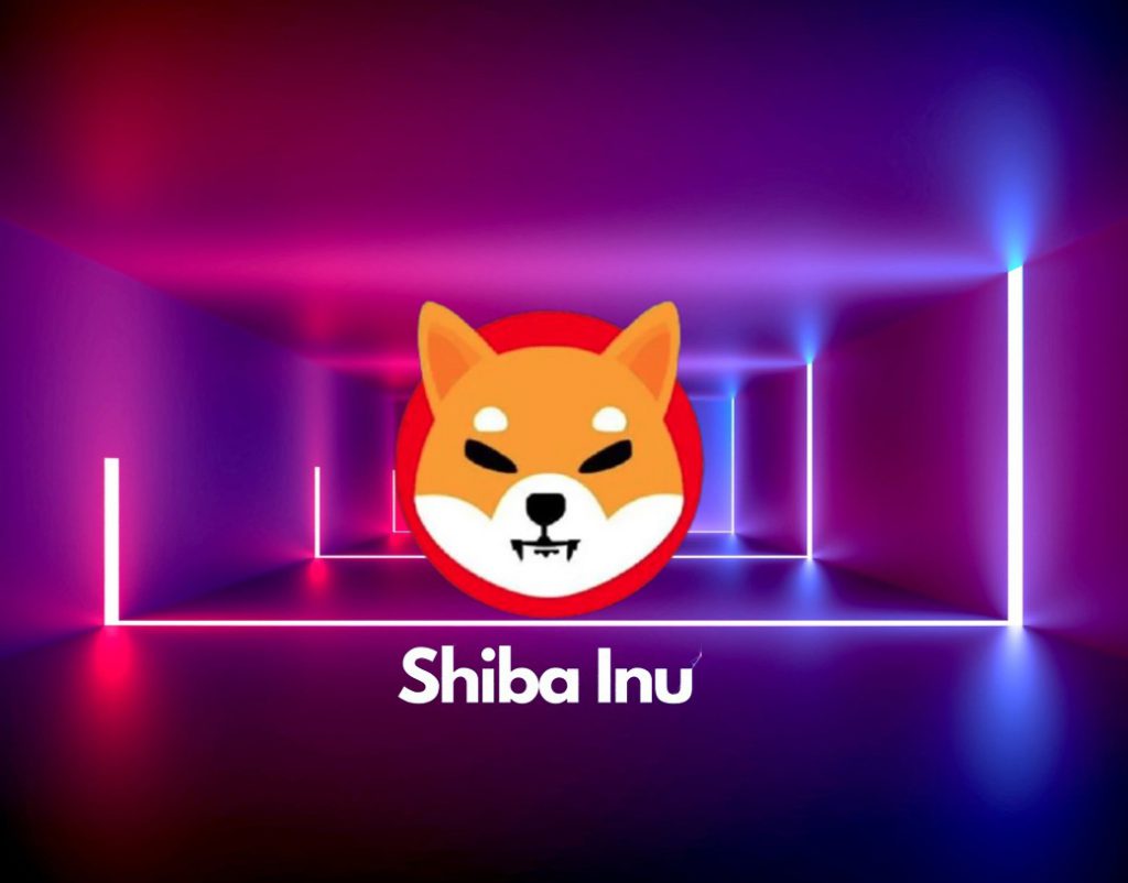 Shiba Inu