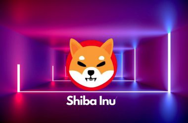 Shiba Inu