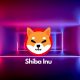 Shiba Inu