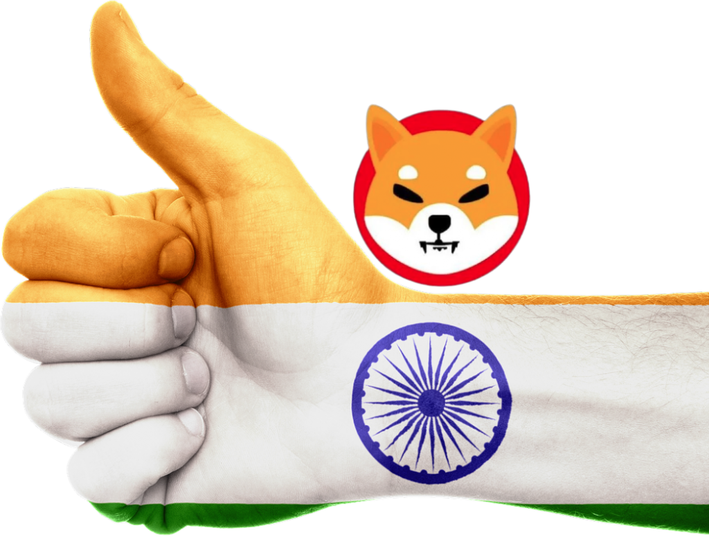 shiba inu india shib