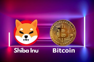 Shiba Inu Bitcoin SHIB BTC
