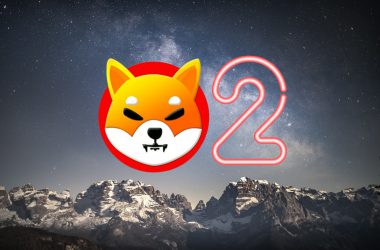 shiba inu turns 2
