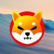 shiba inu shib water