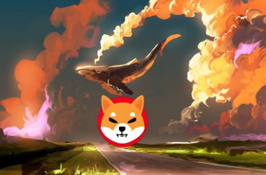 shiba inu whale