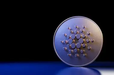 Number of Cardano Wallets Have Surpassed 3.5 Million