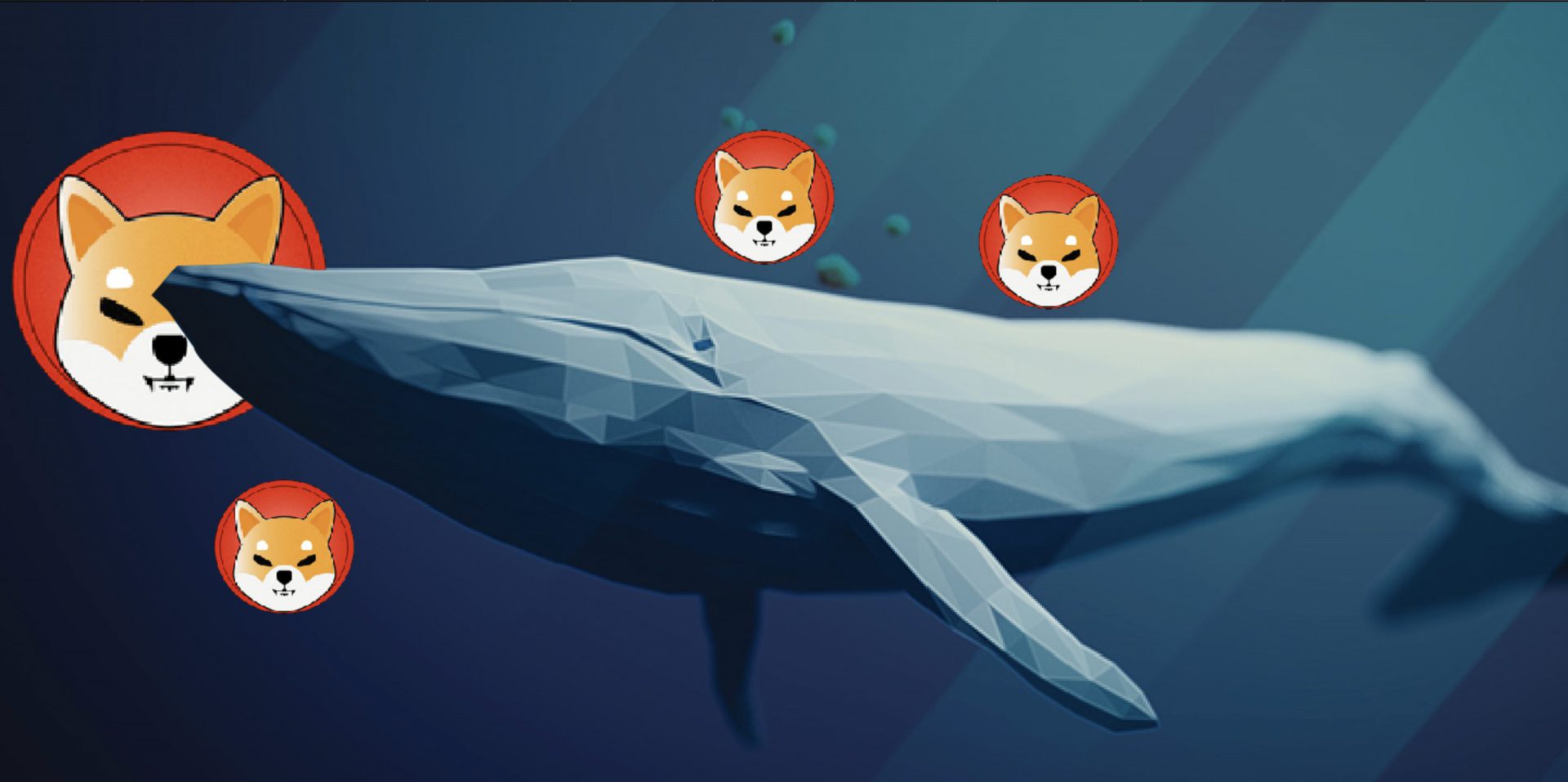shiba-inu-whale-buys-3-37-trillion-shib-in-one-transaction