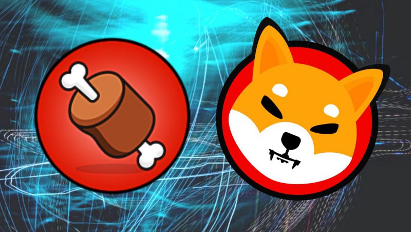 Shiba Inu’s BONE Attracts Major Ethereum Whale Attention