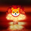 Shiba Inu Latest Burn Updates Shared by Lead Developer