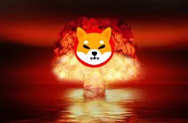 Shiba Inu Latest Burn Updates Shared by Lead Developer