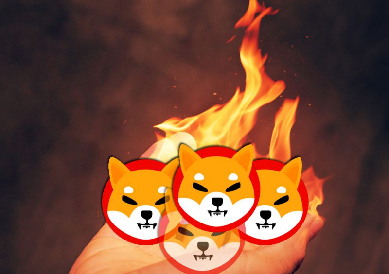 Here’s a New Way To Burn Trillions of Shiba Inu