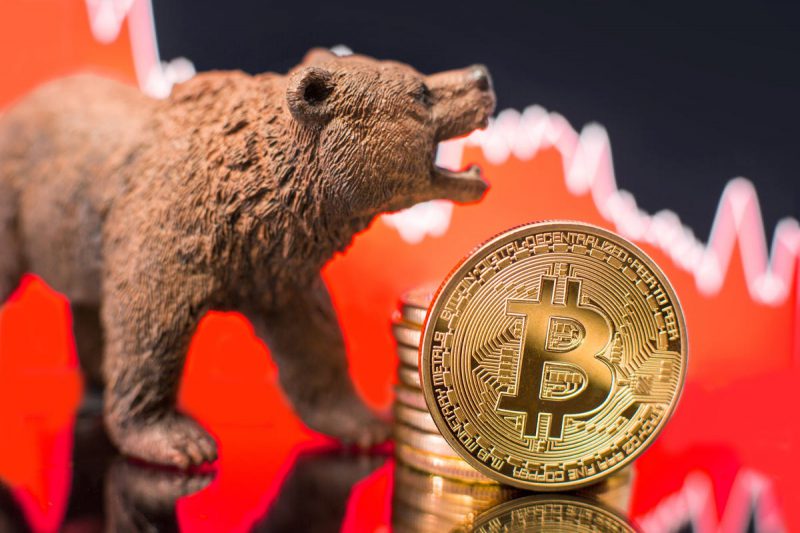 All About Crypto Bear Market: An Investor’s Guide