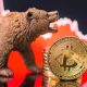 All About Crypto Bear Market: An Investor’s Guide
