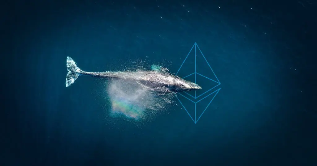 What are Crypto Whales?
