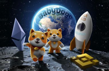 Where and How To Buy Baby Doge Coin?