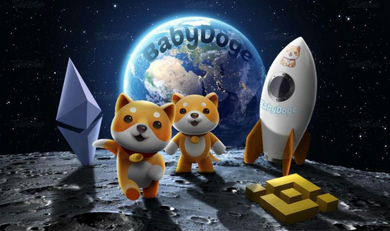 Where and How To Buy Baby Doge Coin?