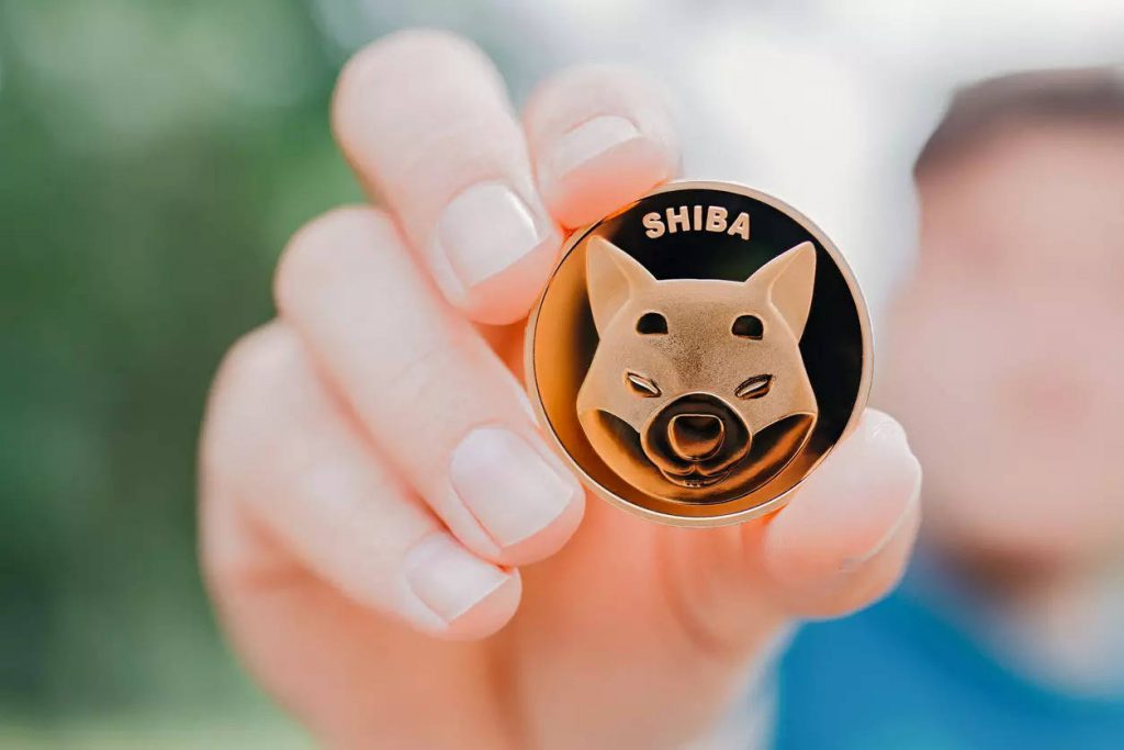 Shiba Inu: Should you buy the dip?