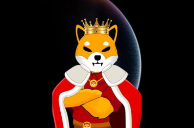 shiba inu shib boss look