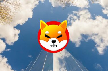 shiba inu sky building