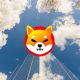 shiba inu sky building