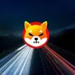 Shiba Inu