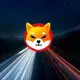 Shiba Inu