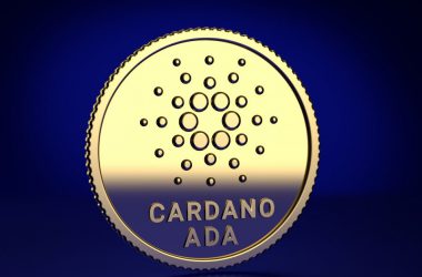 Cardano: How To Stake Your ADA?