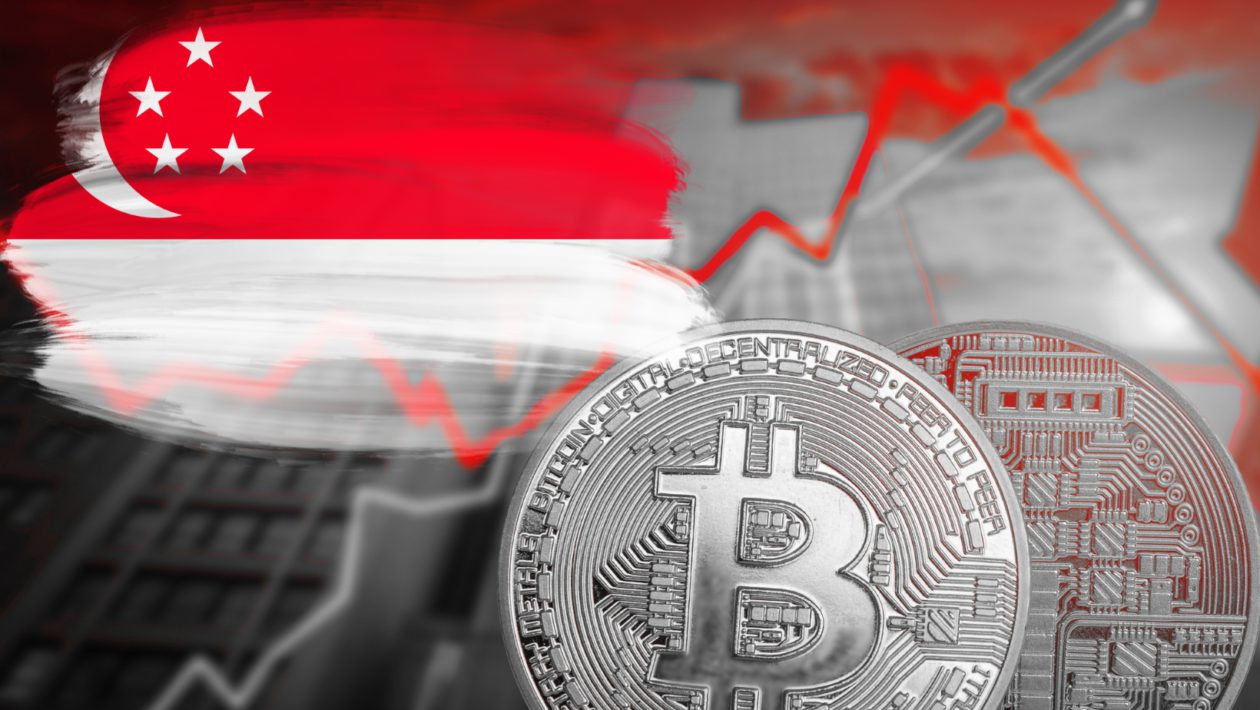 هیچ اطلاعاتی در مورد HODLings رمزنگاری عمومی: بانک مرکزی سنگاپور